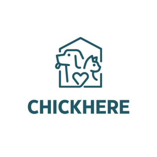 chickhere